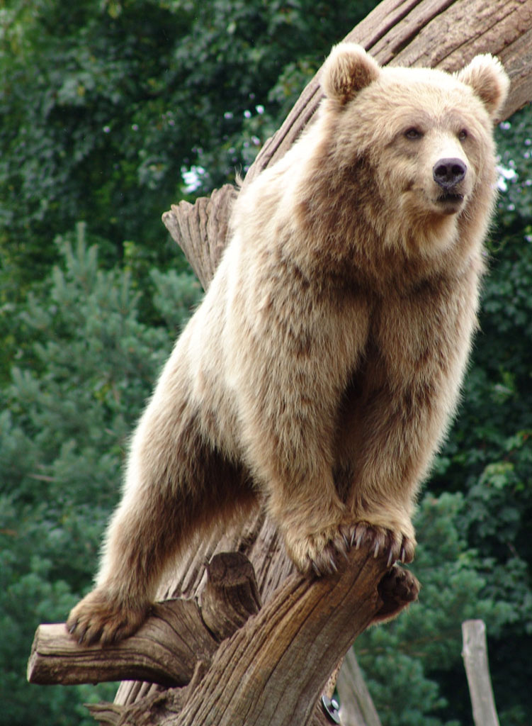 lol台服官网首页地址-崭新的生活大结局