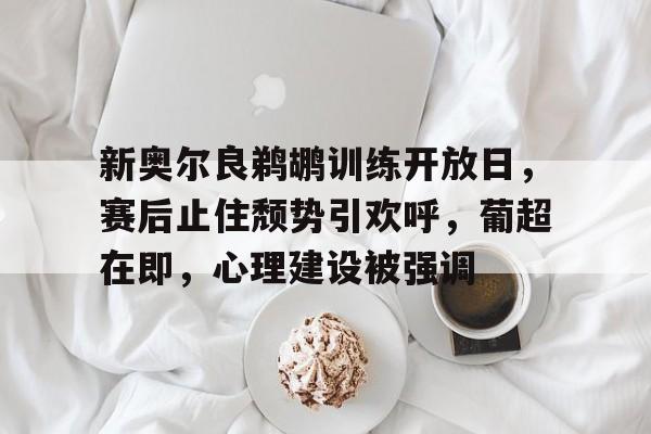 英雄联盟台服官网地址一览-包含新奥尔良鹈鹕训练开放日，赛后止住颓势引欢呼，葡超在即，心理建设被强调的词条